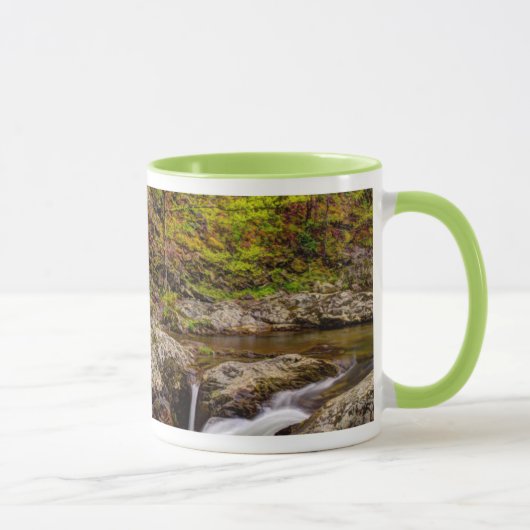 Forest Stream in Great Smoky Mountains Mok (Rechts)