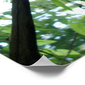 Forest Stud Poster (Hoek)