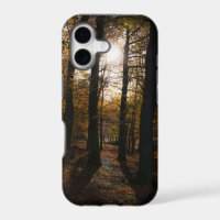 Forest sun iPhone 5 coque