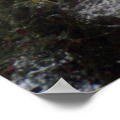 Forest Sun Rays in de sneeuw #32 Poster (Hoek)