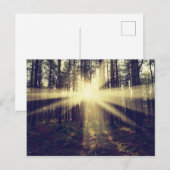 Forest Sunbeams Briefkaart (Voorkant / Achterkant)