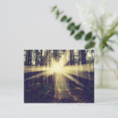 Forest Sunbeams Briefkaart (Staand voorkant)