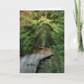 Forest Sunbeams voor sympathiekaart Kaart (Voorkant)