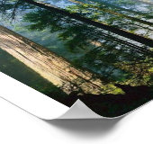 Forest Sunlight Poster (Hoek)