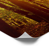 Forest Sunrise Poster (Hoek)