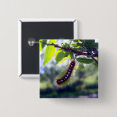 Forest Tent Caterpaal 1 Button (Voorkant /achterkant)