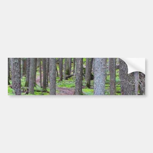 Forest Trail Bumpersticker (Voorkant)