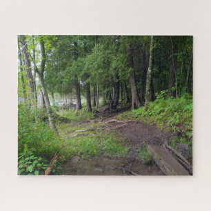 Forest Trail Through Jay Cooke Park Legpuzzel