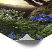 FOREST VOOR KWEEKPaarden Poster (Hoek)