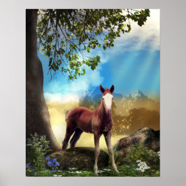 FOREST VOOR KWEEKPaarden Poster