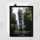 Forest Wilderness Redwoods Briefkaart (Voorkant / Achterkant)
