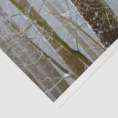 Forest Winter 12 Ontvangstdocument Tissuepapier (Detail)