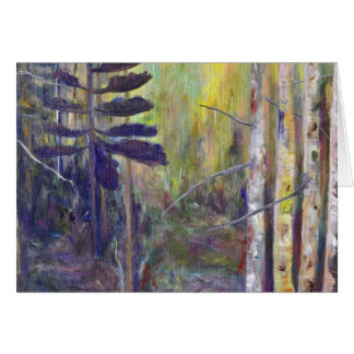 Forest Wonders