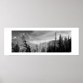 Forest Woodland Black en White Photo Panoramic Poster
