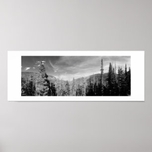 Forest Woodland Black en White Photo Panoramic Poster