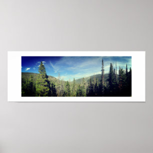 Forest Woodland Color Photography Green Panorama Poster
