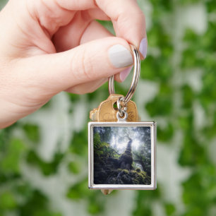 Forests Anaga Rural Park Canary Islands Sleutelhanger