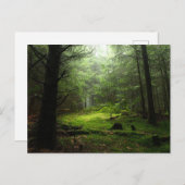 Forests | Auvergne France Briefkaart (Voorkant / Achterkant)