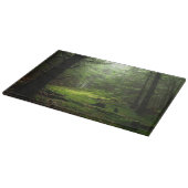 Forests | Auvergne France Snijplank (Hoek)