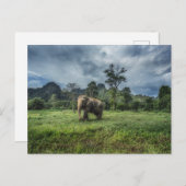 Forests | Kao Sok National Park Briefkaart (Voorkant / Achterkant)