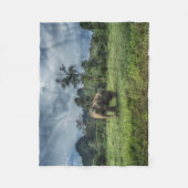 Forests | Kao Sok National Park Fleece Deken (Voorkant)