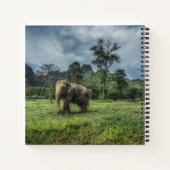 Forests | Kao Sok National Park Notitieboek (Achterkant)