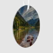 Forests | Maroon Bells Colorado (devant)