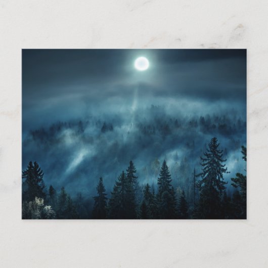 Forests | Moonlit Forest Briefkaart (Voorkant)