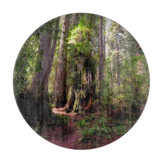 Forests | Redwood Forest California Snijplank (Voorkant)