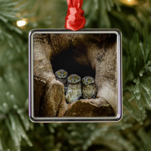 Forests Three Owls Looking Metalen Ornament