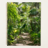 Forests | Tropical Rainforest Tulum Mexico (Devant)