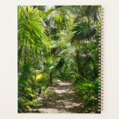 Forests | Tropical Rainforest Tulum Mexico (Dos)