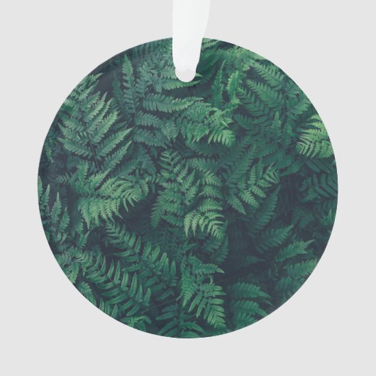 Forests | Woodland Ferns (devant)
