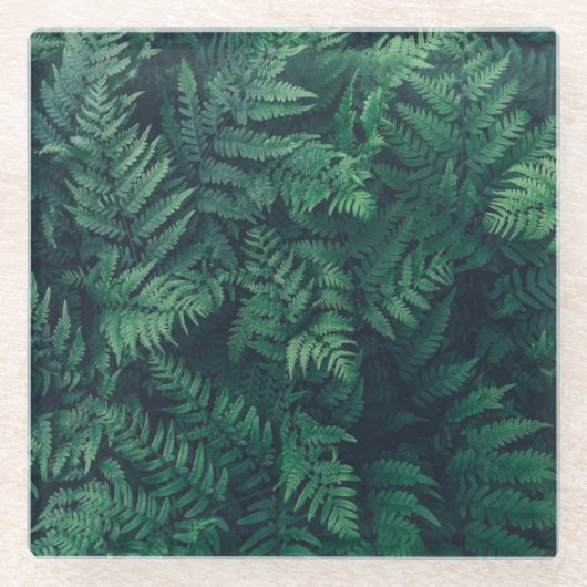 Forests | Woodland Ferns Glazen Onderzetter (Voorkant)