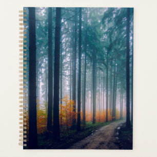 Forêt