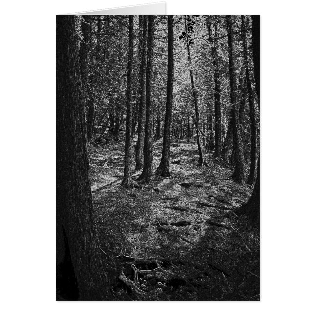 Forêt Abstraite (Devant)