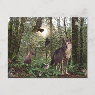 Forêt Animaux sauvages Faune Nature Carte postale