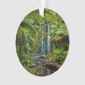 Forêt | Beauchamp Falls Australie (devant)