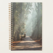 Forêt | Bois (Devant)