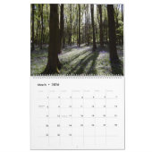Forêt Bois Paysage Calendrier des quatre saisons (Mar 2026)