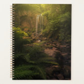 Forêt | Cascade Sunlight Highlights (Devant)
