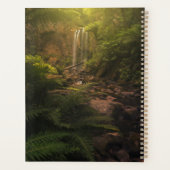Forêt | Cascade Sunlight Highlights (Dos)