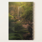 Forêt | Cascade Sunlight Highlights (Dos)