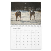 Forêt Créatures Nature Petit Calendrier (Jan 2027)