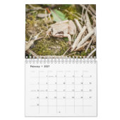 Forêt Créatures Nature Petit Calendrier (Feb 2027)