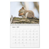 Forêt Créatures Nature Petit Calendrier (Mar 2027)