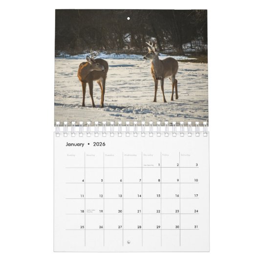 Forêt Créatures Nature Petit Calendrier (Jan 2026)