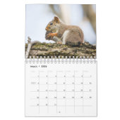 Forêt Créatures Nature Petit Calendrier (Mar 2026)