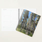 Forêt d'arbres Carnet Thoreau (Devant avec enveloppe)