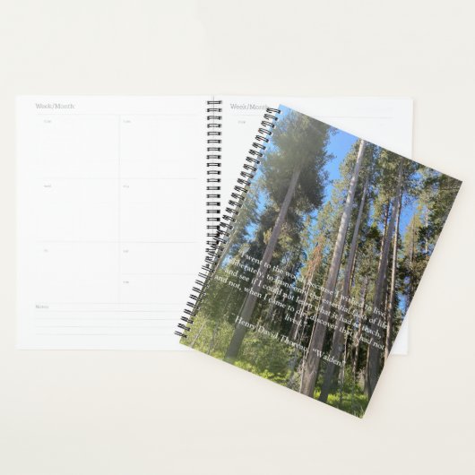 Forêt d'arbres Carnet Thoreau (Devant avec enveloppe)